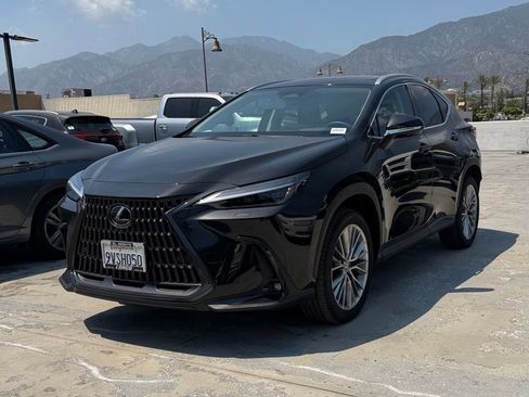 Used 2025 Lexus NX 350 AWD w/ Cold Area Package image 3