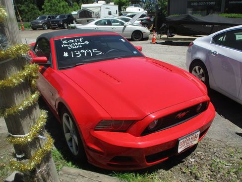 Used 2014 Ford Mustang GT w/ Equipment Group 301A RWD image 8