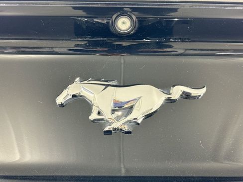 Used 2016 Ford Mustang Coupe RWD image 19