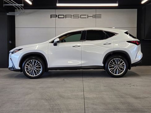 Used 2025 Lexus NX 350h AWD w/ Cold Area Package image 2