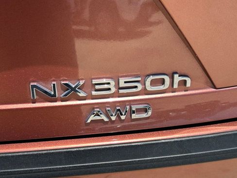 Used 2025 Lexus NX 350h AWD w/ Accessory Package (2T) image 13