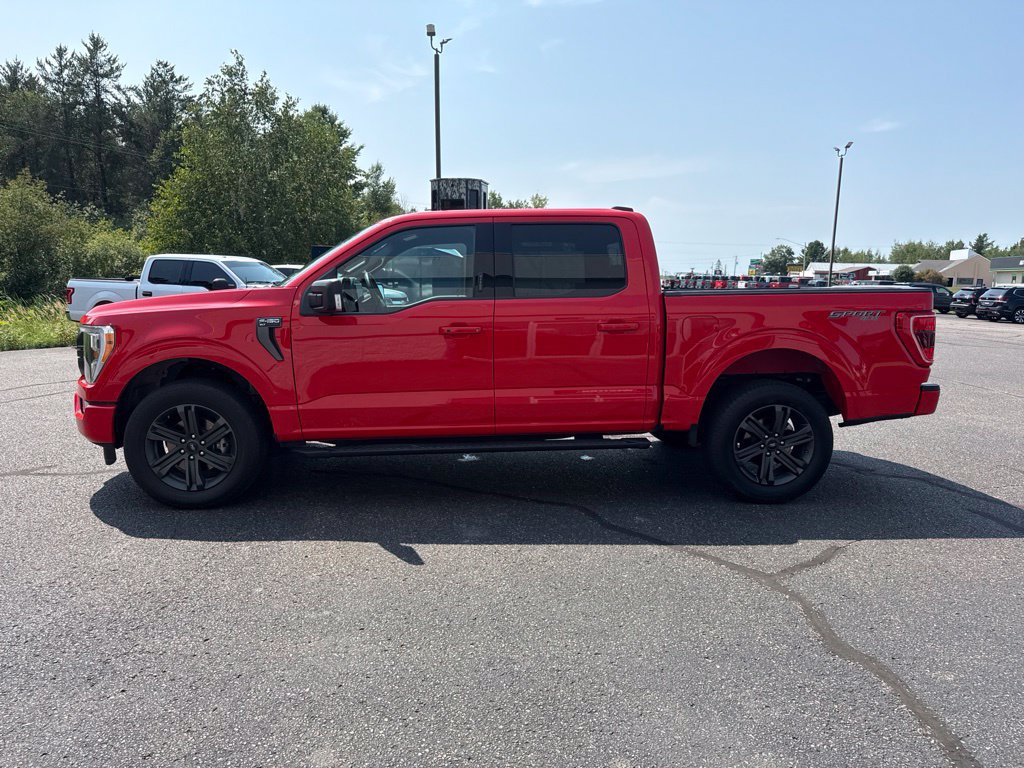 Used 2023 Ford F150 XLT w/ Equipment Group 302A High AWD/4WD image 8
