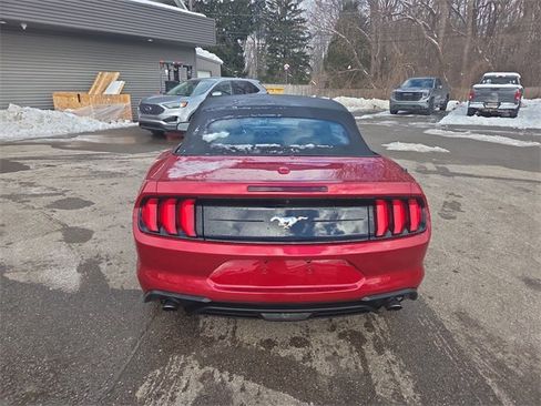 Certified 2023 Ford Mustang EcoBoost w/ Equipment Group 101A image 6