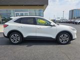 Used 2021 Ford Escape SEL w/ Technology Package image 3