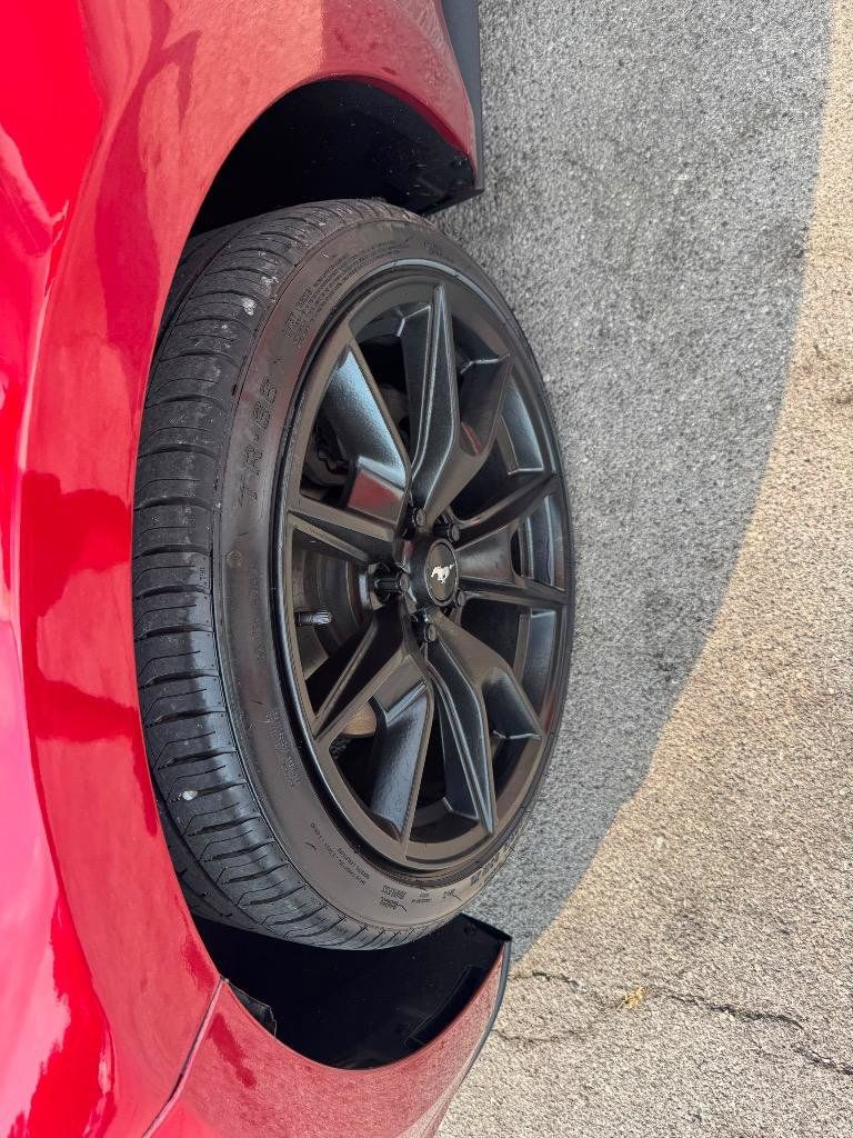 Used 2015 Ford Mustang Premium w/ Equipment Group 201A RWD image 10