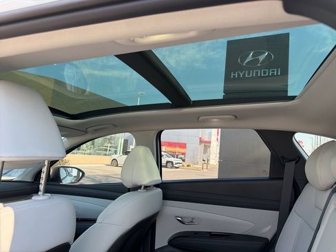 New 2026 Hyundai Tucson Limited AWD/4WD image 15