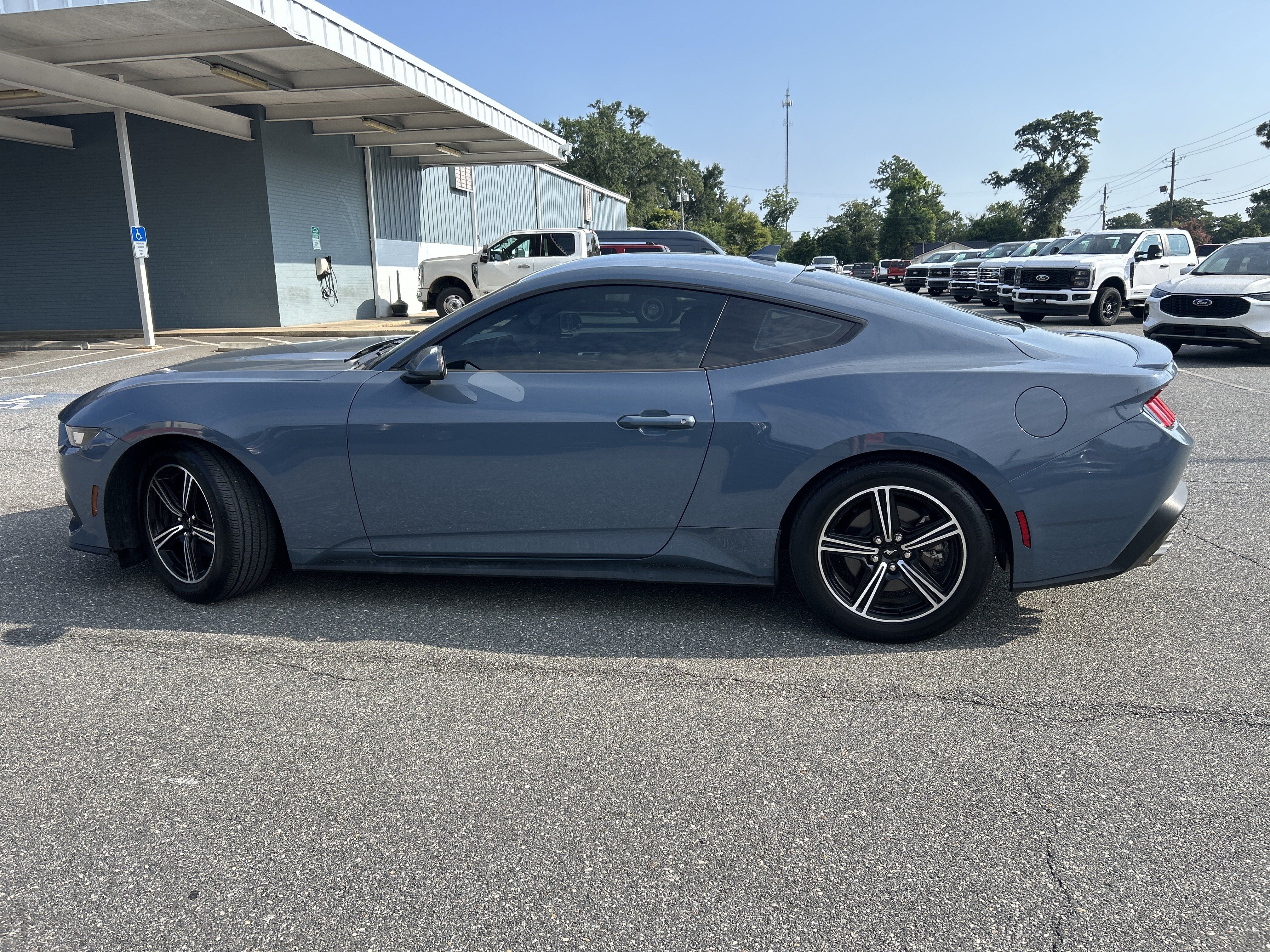 Used 2024 Ford Mustang Premium RWD image 4