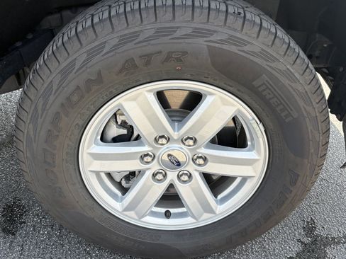 Used 2025 Ford F150 XL w/ Equipment Group 103A High AWD/4WD image 15