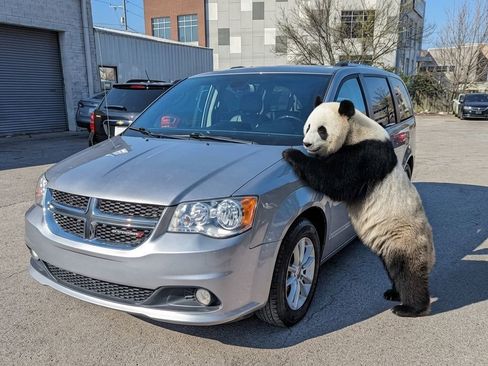 Used 2020 Dodge Grand Caravan SXT FWD image 1