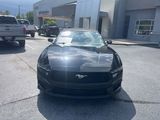 Used 2024 Ford Mustang Premium image 3