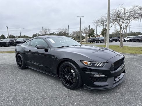 Used 2018 Ford Mustang Shelby GT350 w/ Convenience Package image 1