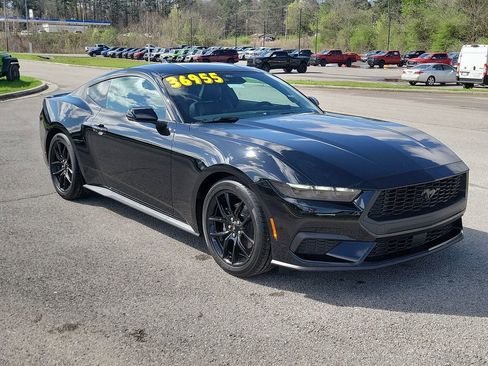 Used 2025 Ford Mustang Premium image 1