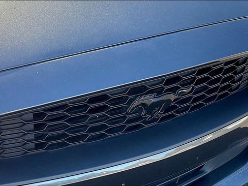 Used 2019 Ford Mustang Coupe w/ Equipment Group 101A image 32