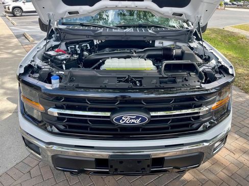 Used 2025 Ford F150 XLT w/ Equipment Group 301A Standard AWD/4WD image 15