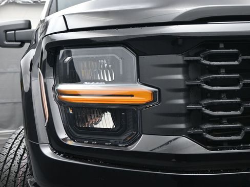 New 2025 Ford F150 STX w/ STX Black Appearance Package image 14