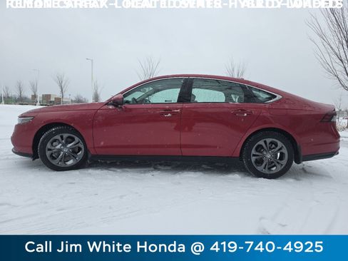 Certified 2025 Honda Accord EX-L image 14