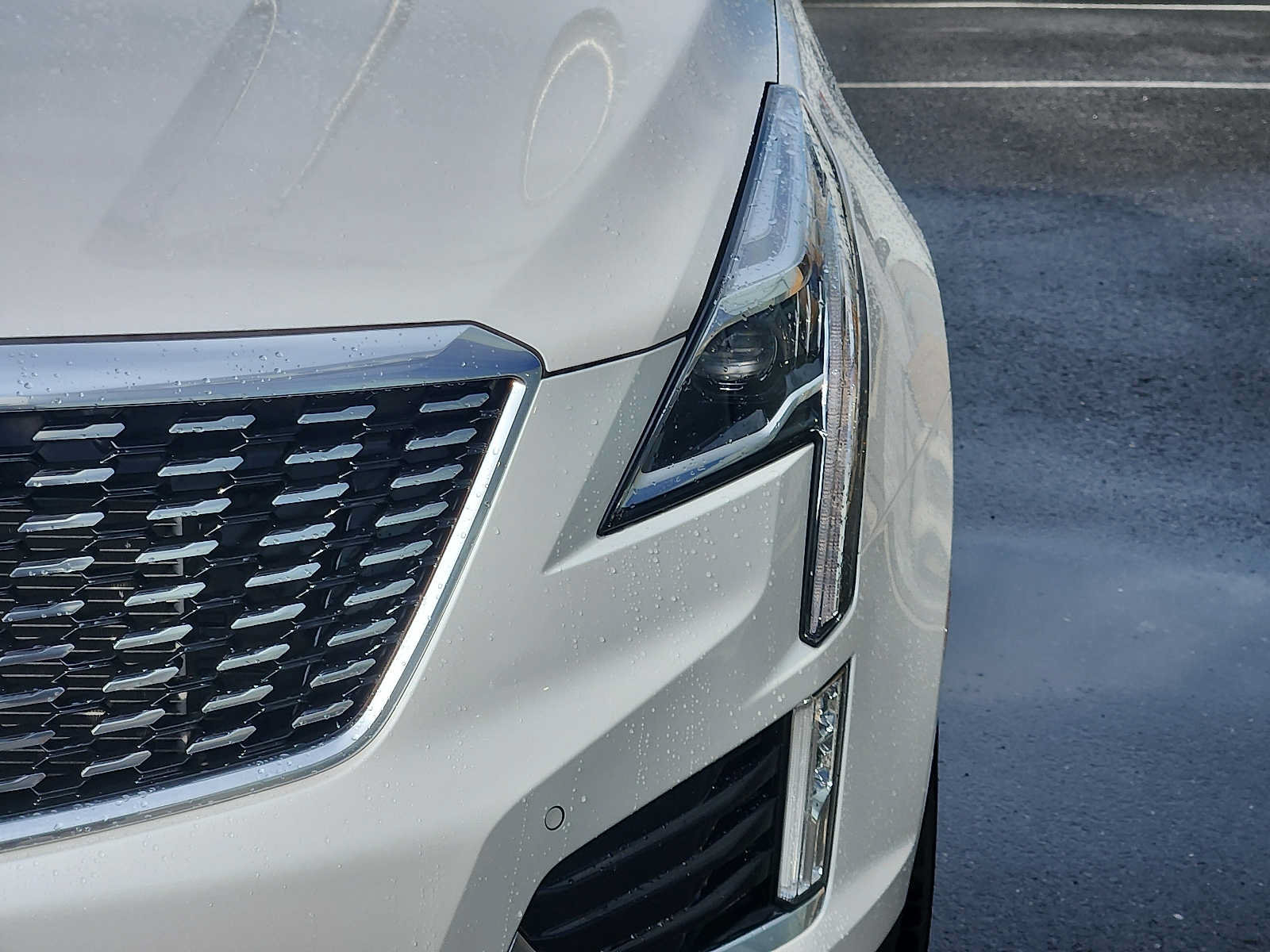 Used 2023 Cadillac XT5 Premium Luxury AWD/4WD image 9