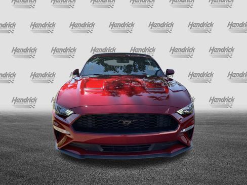 Used 2019 Ford Mustang Premium w/ Equipment Group 201A RWD image 3