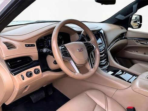 Used 2019 Cadillac Escalade Platinum image 13