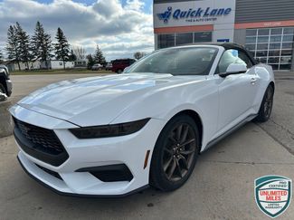 New 2026 Ford Mustang Premium RWD video 1