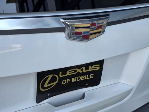 Used 2019 Cadillac Escalade Luxury RWD image 36