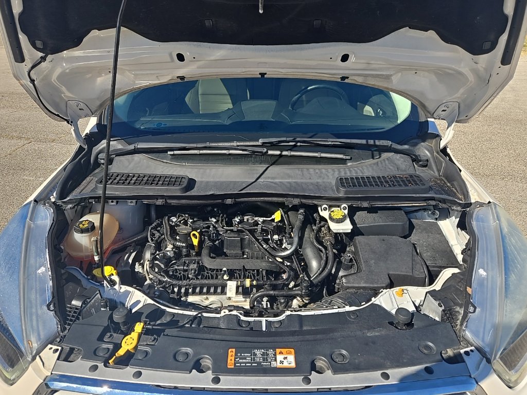 Used 2019 Ford Escape SEL FWD image 23
