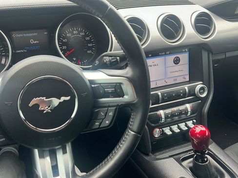 Used 2019 Ford Mustang GT w/ Equipment Group 301A RWD image 12