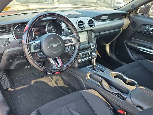 Used 2018 Ford Mustang GT w/ Equipment Group 301A RWD image 14