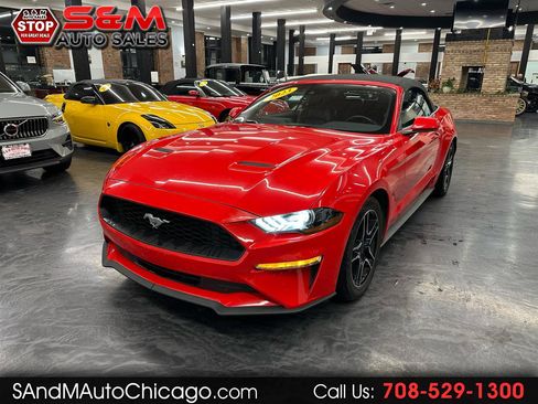 Used 2023 Ford Mustang Premium image 1