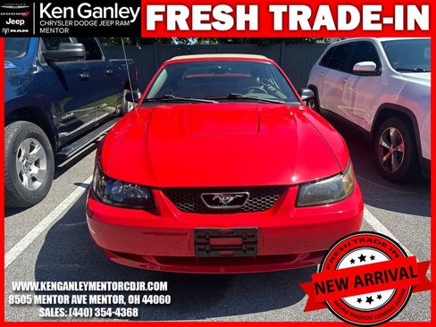 Used 2003 Ford Mustang Convertible RWD image 3