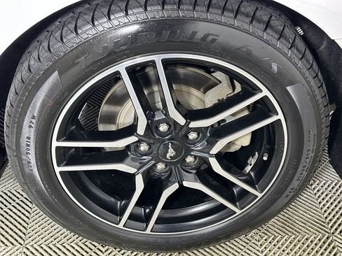 Used 2019 Ford Mustang Premium w/ Equipment Group 201A RWD image 34