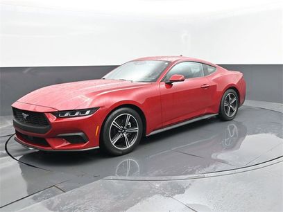 Used 2024 Ford Mustang Premium