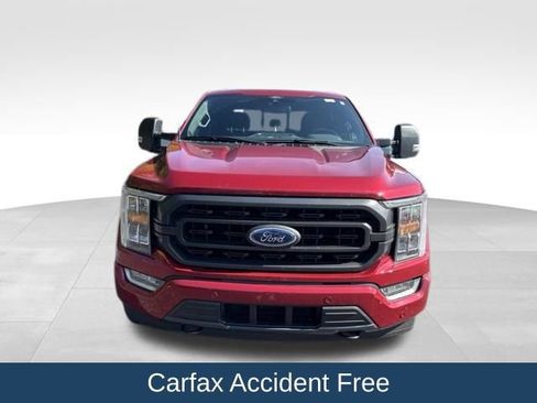 Used 2021 Ford F150 XLT w/ Equipment Group 302A High AWD/4WD image 3