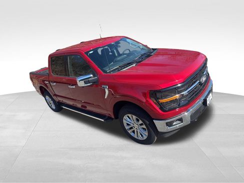New 2025 Ford F150 XLT w/ Equipment Group 303A High image 8