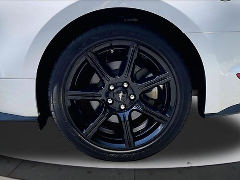 Used 2019 Ford Mustang Coupe w/ Equipment Group 101A RWD image 32