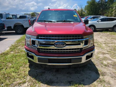 Used 2019 Ford F150 XLT w/ Equipment Group 302A Luxury RWD image 3