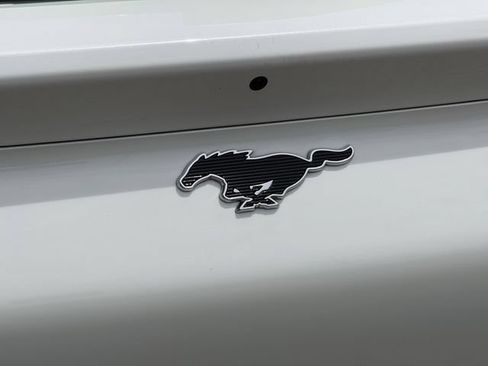 Used 2024 Ford Mustang Mach-E Premium RWD image 6