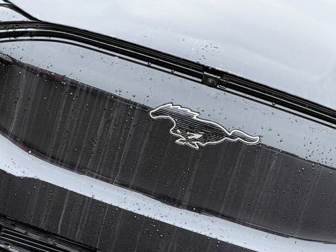 New 2026 Ford Mustang Mach-E Premium w/ Technology Package image 4