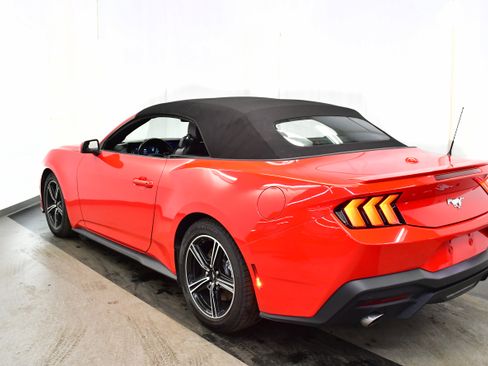 Used 2024 Ford Mustang Premium image 11