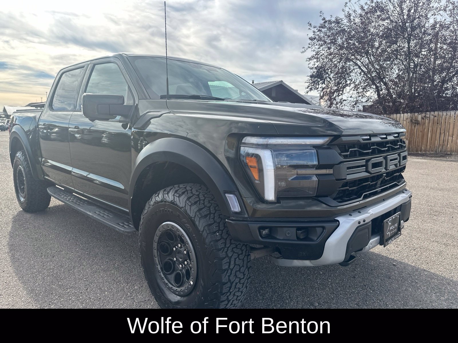 Used 2025 Ford F150 Raptor AWD/4WD image 1