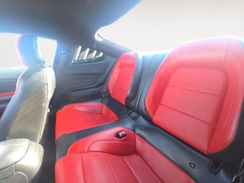 Used 2019 Ford Mustang Premium w/ Equipment Group 201A image 14