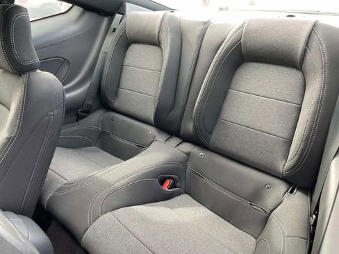 New 2026 Ford Mustang Coupe w/ Bronze Appearance Package image 19