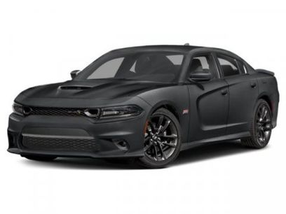 Used 2019 Dodge Charger Scat Pack w/ Dynamics Package