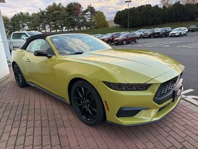 New 2025 Ford Mustang Convertible w/ Mustang Nite Pony Package