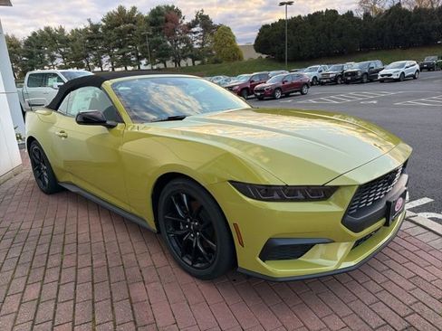 New 2025 Ford Mustang Convertible w/ Mustang Nite Pony Package image 1