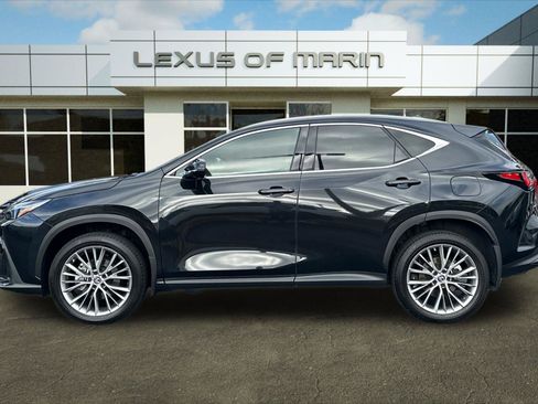 Used 2023 Lexus NX 350 AWD image 2
