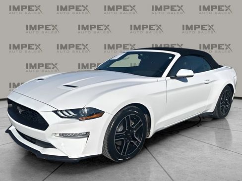 Used 2020 Ford Mustang Premium image 1