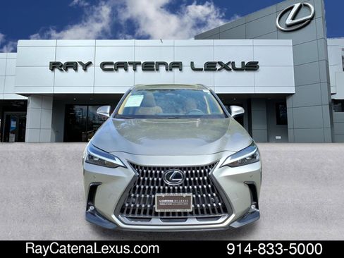 Certified 2024 Lexus NX 350 AWD image 2