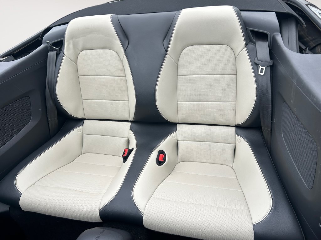 Used 2019 Ford Mustang Premium RWD image 13