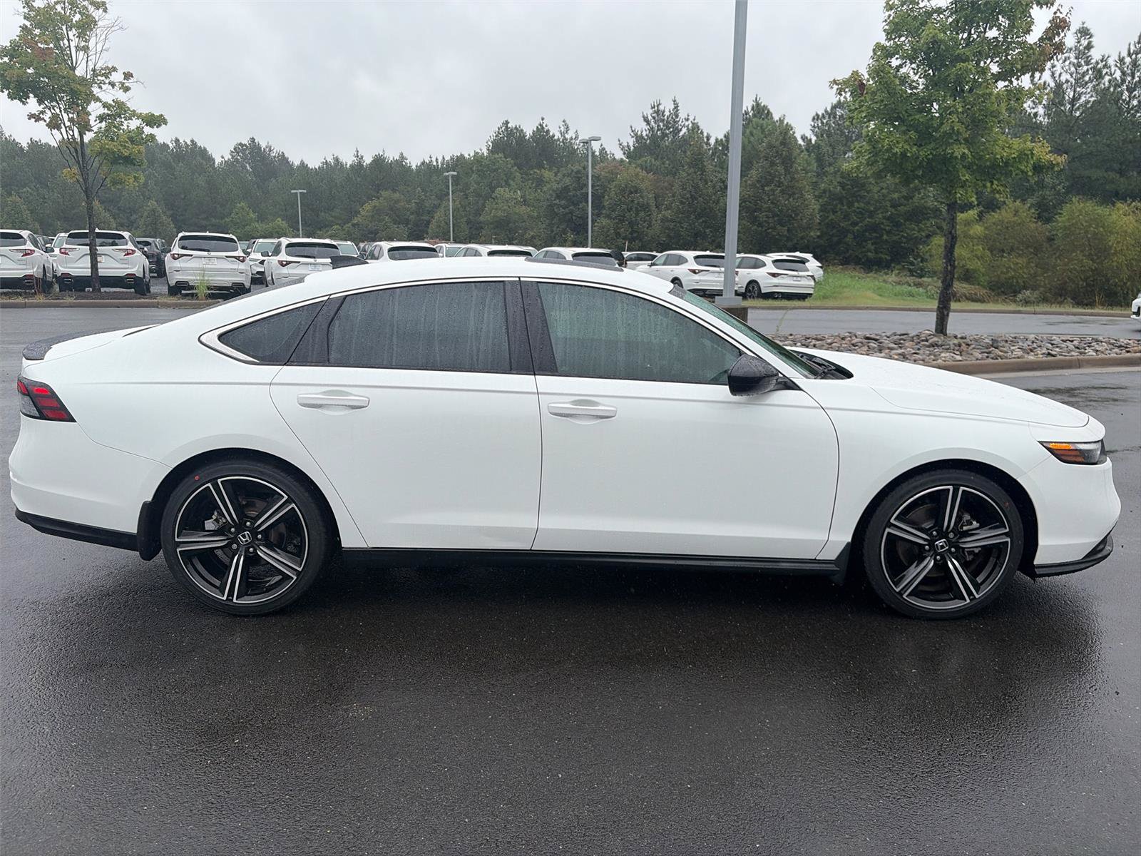 Certified 2024 Honda Accord Sport image 8